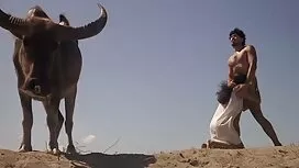 Các chàng búa cô Gái ...