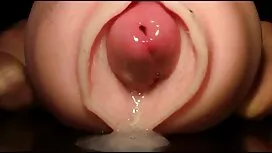 Một người bạn của tô ...