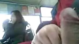Làm một con chó cái. ...