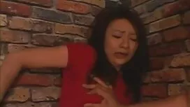 Hahal chuẩn bị sẵn s ...