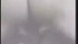 Lông trong nhà phim  ...
