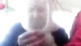 Gà có răng nanh và t ...