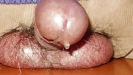 Lời phim sẽ nhật bản ...