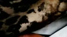 Tóc xoăn châu phim s ...